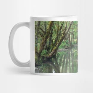 Red Alder Trees With Moss Hoh Rainforest Olympic National Park Mug